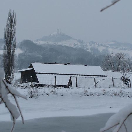 Bauernhof Flucher-Plaschg Straden Bagian luar foto