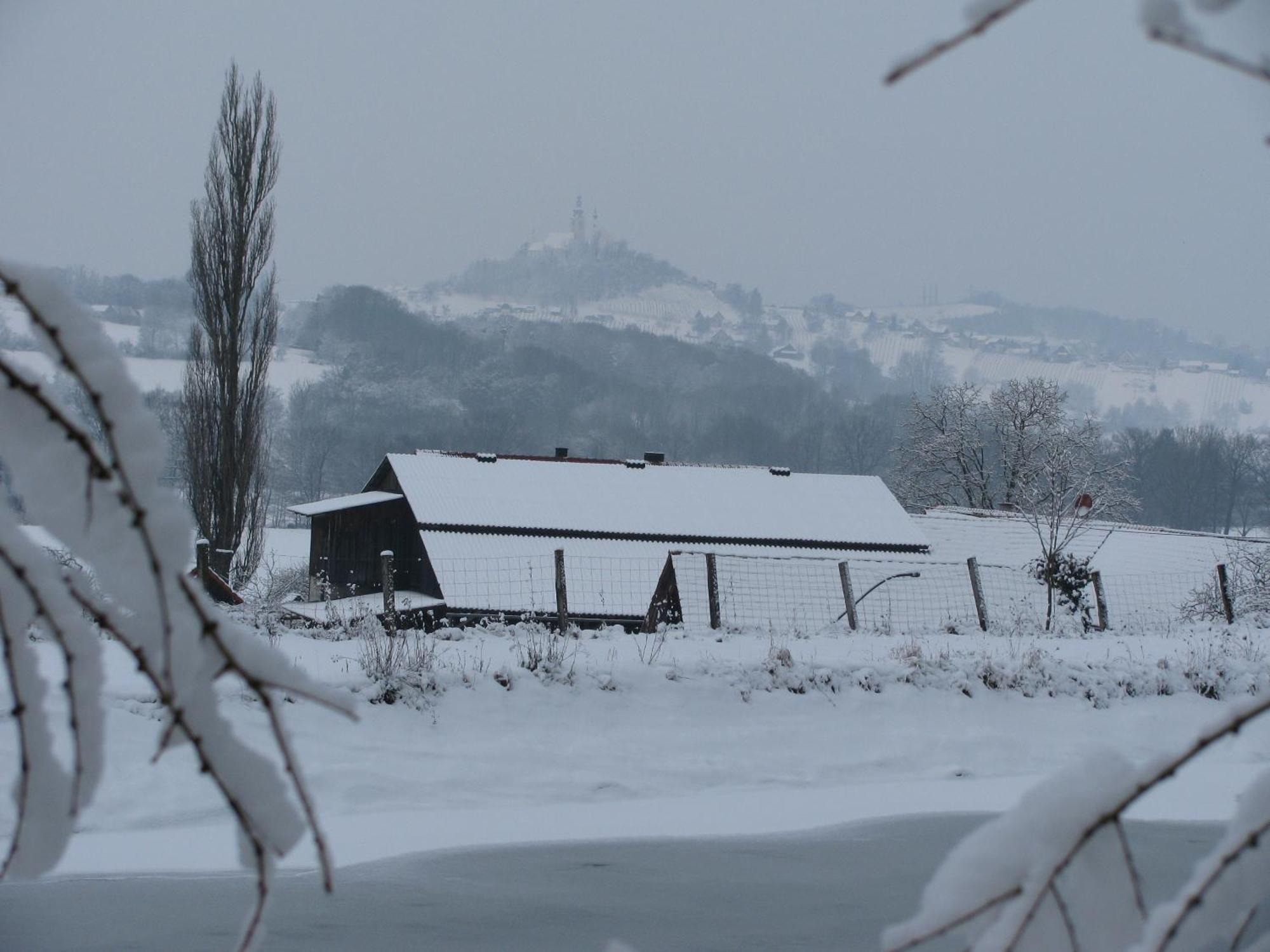 Bauernhof Flucher-Plaschg Straden Bagian luar foto