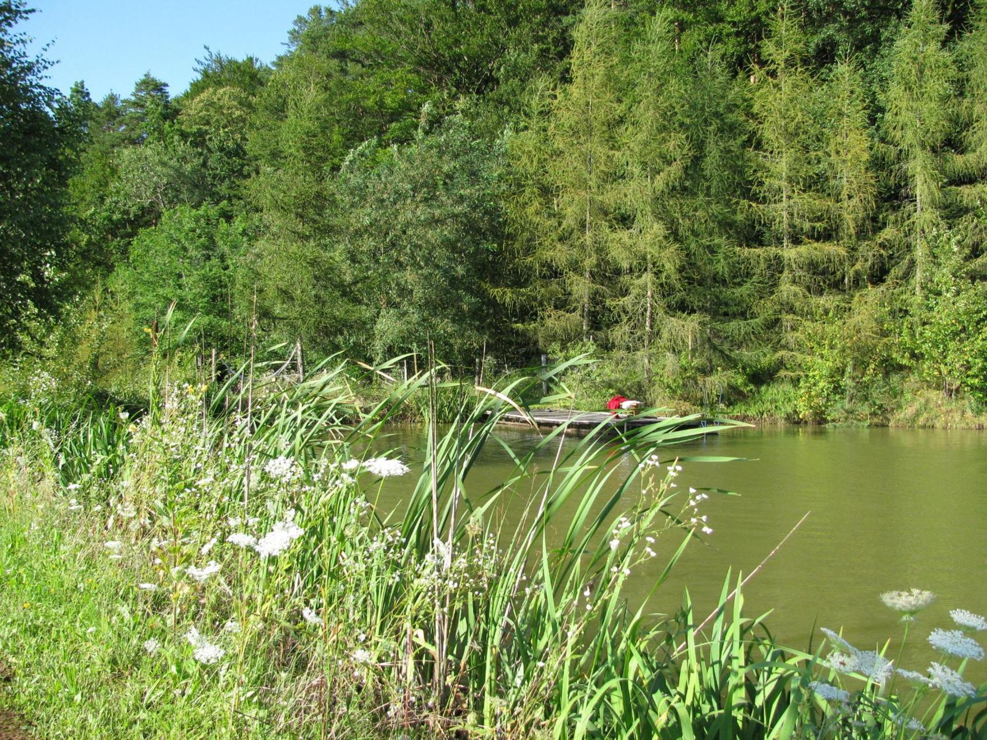 Bauernhof Flucher-Plaschg Straden Bagian luar foto